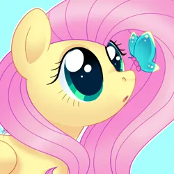 Size: 4000x4000 | Tagged: safe, artist:fizzlefer, derpibooru import, fluttershy, butterfly, insect, pegasus, pony, g4, absurd resolution, bust, butterfly on nose, colored pupils, cute, female, image, insect on nose, jpeg, light blue background, looking up, mare, outline, shyabetes, simple background, solo, white outline