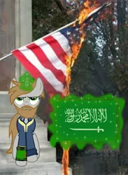 Size: 720x986 | Tagged: safe, edit, ponerpics import, ponybooru import, oc, oc:littlepip, pony, fallout equestria, arabic, fire, flag, image, islam, jpeg, op is a cuck, politics, saudi arabia, united states