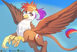 Size: 1400x954 | Tagged: safe, artist:bakki, derpibooru import, oc, oc:rainbow feather, unofficial characters only, gryphon, flying, griffon oc, image, png, solo