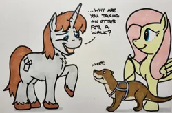 Size: 2047x1343 | Tagged: safe, artist:hoofclid, derpibooru import, fluttershy, oc, oc:hoofclid, otter, pegasus, pony, unicorn, chest fluff, female, hoof hold, horn, image, jpeg, leash, male, mare, marker drawing, open mouth, open smile, smiling, stallion, traditional art, unshorn fetlocks, walk