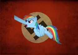 Size: 500x354 | Tagged: safe, editor:dpr, rainbow dash, brony, fascism, fascist, hatred, image, jpeg, mlpol, my little pony, nazi, nazi flag