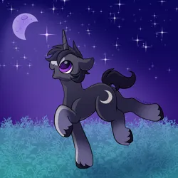 Size: 2000x2000 | Tagged: safe, artist:leopardsnaps, derpibooru import, oc, oc:crystal nightshine, unofficial characters only, pony, unicorn, :d, blaze (coat marking), coat markings, crescent moon, facial markings, gradient legs, grass, horn, image, looking at something, male, moon, open mouth, open smile, png, raised hoof, running, smiling, solo, stallion, stars, unicorn oc, unshorn fetlocks