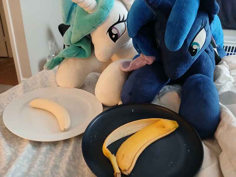 Size: 4080x3060 | Tagged: safe, derpibooru import, princess celestia, princess luna, alicorn, pony, banana, banana peel, duo, eating, female, food, image, irl, jpeg, lying down, photo, plate, plushie, prone, royal sisters, siblings, sisters