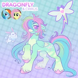 Size: 1900x1900 | Tagged: safe, artist:pinxpony, derpibooru import, fluttershy, rainbow dash, oc, oc:dragonfly, pegasus, pony, rabbit, g4, animal, coat markings, facial markings, female, floppy ears, fusion:fluttershy, fusion:rainbow dash, hair over one eye, image, jpeg, looking at you, mare, multicolored hair, pale belly, smiling, smiling at you, snip (coat marking), solo, unshorn fetlocks