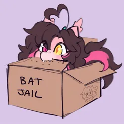 Size: 1000x1000 | Tagged: safe, artist:cuiicie, derpibooru import, oc, oc:key mash, unofficial characters only, bat pony, pony, ahoge, behaving like a cat, box, cardboard box, fangs, female, heterochromia, image, jpeg, mare, pony in a box, solo