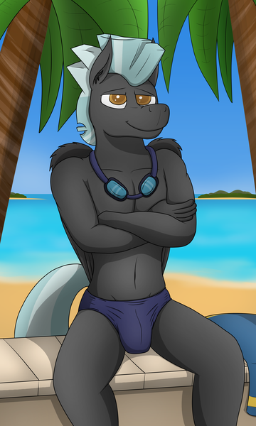 Size: 3000x5000 | Tagged: suggestive, artist:tacomytaco, derpibooru import, thunderlane, anthro, pegasus, beach, belly, belly button, clothes, crossed arms, crotch bulge, goggles, image, looking at you, male, partial nudity, png, sitting, smiling, solo, solo male, speedo, spreading, swimsuit, topless, towel