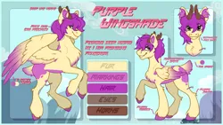 Size: 2564x1443 | Tagged: safe, artist:pureiitys, derpibooru import, oc, oc:purple wingshade, unofficial characters only, deer, hybrid, original species, pegasus, pony, antlers, brown eyes, chest fluff, colored wings, ear fluff, feathered wings, fluffy, freckles, full body, hoof fluff, hooves, image, looking at you, multicolored wings, png, purple mane, reference sheet, smiling, smiling at you, smirk, smug, solo, spots, spread wings, wings, yellow coat