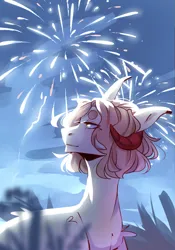 Size: 1189x1700 | Tagged: safe, artist:riressa, derpibooru import, oc, earth pony, pony, fireworks, horns, image, png, solo