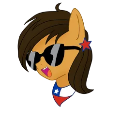 Size: 2000x2000 | Tagged: safe, artist:archooves, derpibooru import, oc, oc:chilenia, ponified, unofficial characters only, earth pony, pony, chile, image, nation ponies, png, simple background, solo, sunglasses, transparent background