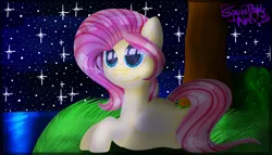 Size: 7000x4000 | Tagged: safe, artist:spaceponyarts, derpibooru import, fluttershy, pegasus, pony, g4, absurd resolution, grass, image, jpeg, night, shiny eyes, solo, stars, tree, water