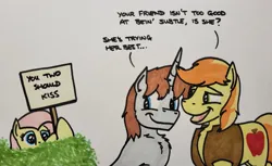 Size: 2047x1250 | Tagged: safe, artist:hoofclid, derpibooru import, braeburn, fluttershy, oc, oc:hoofclid, earth pony, pegasus, pony, unicorn, bush, canon x oc, chest freckles, dialogue, female, freckles, gay, hatless, horn, image, jpeg, male, mare, marker drawing, missing accessory, open mouth, open smile, shipper on deck, shipping, sign, smiling, stallion, traditional art, trio