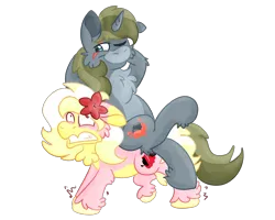 Size: 2500x2000 | Tagged: safe, artist:euspuche, derpibooru import, oc, oc:alabaster, oc:carmen garcía, unofficial characters only, pony, duo, female, flower, gritted teeth, image, lily (flower), male, motion lines, png, ponies riding ponies, riding, riding a pony, simple background, struggling, teeth, transparent background