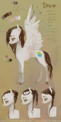 Size: 2480x4944 | Tagged: safe, artist:wolfiedrawie, derpibooru import, oc, oc:drew, unofficial characters only, pegasus, pony, female, image, mare, png, reference sheet, solo, spread wings, wings