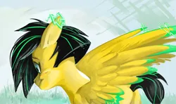 Size: 780x461 | Tagged: safe, artist:beherelongtime, derpibooru import, oc, oc:lightning bug, unofficial characters only, pegasus, pony, fanfic:song of seven, black mane, cyan eyes, green eyes, image, pegasus oc, png, two toned mane, wings, yellow coat