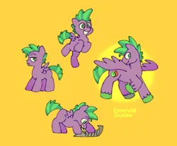 Size: 730x605 | Tagged: safe, artist:driftwoodpony, derpibooru import, spike, ponified, pegasus, pony, g4, alternate name, colt, foal, grin, image, male, png, ponified spike, simple background, smiling, solo, species swap, spread wings, wings, yellow background