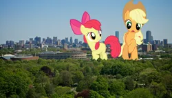 Size: 4258x2414 | Tagged: safe, artist:cherrygrove, artist:thatguy1945, artist:theotterpony, derpibooru import, apple bloom, applejack, earth pony, pony, g4, apple sisters, boston, bow, city, cowboy hat, duo, duo female, female, filly, foal, giant pony, giantess, hair bow, hat, high res, highrise ponies, image, irl, jpeg, macro, mare, photo, ponies in real life, siblings, sisters, stetson, story included