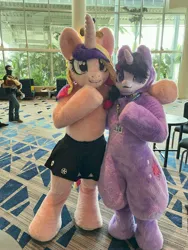 Size: 3024x4032 | Tagged: safe, artist:qtpony, artist:zizzydizzymc, derpibooru import, princess cadance, twilight sparkle, clothes, convention, crossdressing, duo, fursuit, image, indoors, irl, jpeg, megaplex, photo, ponysuit, skirt