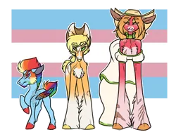 Size: 413x310 | Tagged: safe, artist:faithful-flower, ponerpics import, ponybooru import, applejack, big macintosh, rainbow dash, alternate design, image, mouthpiece, png, politics, pride, pride flag, transgender pride flag, twitterina design