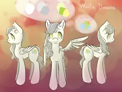 Size: 1200x900 | Tagged: safe, artist:wolfiedrawie, derpibooru import, oc, oc:wolfie drawie, unofficial characters only, pegasus, pony, abstract background, disabled, female, image, mare, png, reference sheet, solo