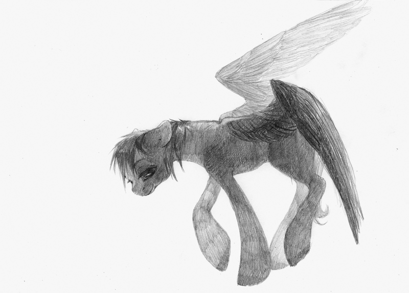 Size: 1672x1200 | Tagged: safe, artist:wolfiedrawie, derpibooru import, pegasus, pony, black and white, grayscale, image, monochrome, png, simple background, solo, spread wings, traditional art, white background, wings