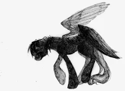 Size: 1647x1200 | Tagged: safe, alternate version, artist:wolfiedrawie, derpibooru import, pegasus, pony, 2013, black and white, grayscale, image, monochrome, png, simple background, solo, spread wings, traditional art, white background, wings