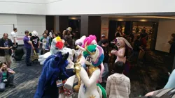 Size: 960x540 | Tagged: safe, derpibooru import, derpy hooves, gilda, pinkie pie, princess cadance, princess celestia, princess luna, rainbow dash, human, convention, crowd, duo focus, female, fursuit, image, indoors, irl, irl human, jewelry, jpeg, photo, ponysuit, regalia, royal sisters, siblings, sisters