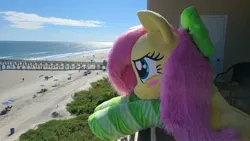 Size: 2242x1261 | Tagged: safe, artist:anonymous, artist:qtpony, derpibooru import, fluttershy, pegasus, pony, g4, beach, bipedal, bipedal leaning, blushing, bow, clothes, door, female, fluttershy plushie, green bow, green socks, image, irl, jpeg, leaning, mare, ocean, photo, plushie, socks, solo, striped socks, water