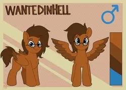 Size: 3536x2529 | Tagged: safe, artist:joaothejohn, derpibooru import, oc, oc:wantedinhell, pegasus, pony, commission, cute, front view, glasses, image, looking at you, male, pegasus oc, png, reference sheet, simple background, spread wings, text, wings