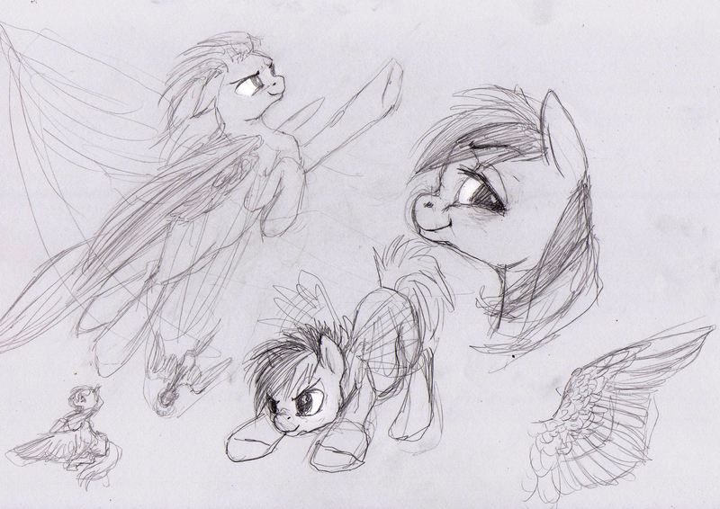 Size: 2597x1836 | Tagged: safe, artist:wolfiedrawie, derpibooru import, rainbow dash, pegasus, pony, g4, black and white, female, flying, grayscale, image, jpeg, mare, monochrome, sketch, sketch dump, solo, spread wings, traditional art, wings