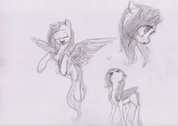 Size: 3388x2396 | Tagged: safe, artist:wolfiedrawie, derpibooru import, fluttershy, butterfly, insect, pegasus, pony, g4, female, flying, image, jpeg, mare, simple background, sketch, sketch dump, solo, traditional art, white background