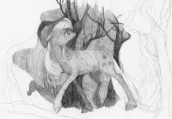 Size: 1787x1234 | Tagged: safe, artist:wolfiedrawie, derpibooru import, applejack, earth pony, pony, g4, black and white, female, forest, grayscale, image, jpeg, mare, monochrome, nature, solo, traditional art, tree