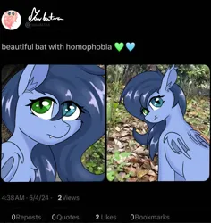 Size: 2303x2444 | Tagged: safe, artist:marbatra, derpibooru import, oc, oc:blue moon, ponified, unofficial characters only, bat pony, pony, heterochromia, image, implied homophobia, leaves, meme, meta, misspelling, png, ponified animal photo, ponified meme, real life background, solo, twitter