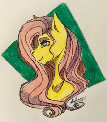 Size: 1695x1936 | Tagged: safe, artist:galaxyscreamer, derpibooru import, fluttershy, pony, g4, bust, female, image, jpeg, mare, profile, proud, smiling, solo, traditional art