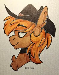 Size: 3040x3864 | Tagged: safe, artist:lrusu, derpibooru import, oc, oc:calamity, unofficial characters only, pegasus, pony, fallout equestria, bust, chest fluff, cowboy hat, hat, image, jpeg, male, marker drawing, painting, pegasus oc, portrait, side view, smiling, solo, stallion, traditional art, wings