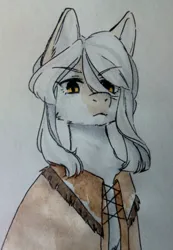 Size: 746x1080 | Tagged: oc name needed, safe, artist:illustra, derpibooru import, oc, unofficial characters only, earth pony, bust, cheek fluff, ear fluff, earth pony oc, eyebrows, eyebrows visible through hair, image, jpeg, looking at you, marker drawing, native american, simple background, solo, traditional art, white background, white coat