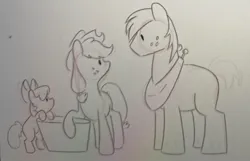 Size: 1902x1226 | Tagged: safe, artist:texacity, derpibooru import, apple bloom, applejack, big macintosh, earth pony, pony, g4, apple siblings, apple sisters, brother and sister, cute, female, filly, foal, grayscale, image, jpeg, male, mare, monochrome, pencil drawing, siblings, sisters, sketch, stallion, traditional art, trio