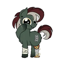 Size: 4608x4608 | Tagged: safe, artist:iamaveryrealperson, derpibooru import, oc, oc:sylvan opus, ponified, unofficial characters only, earth pony, pony, amputee, bandage, closed mouth, colored, cutie mark, derpibooru exclusive, doodle, earth pony oc, eyelashes, gradient hooves, guitar, hoof on cheek, image, looking at you, multicolored hair, multicolored mane, multicolored tail, musical instrument, nonbinary, nonbinary oc, png, prosthetic leg, prosthetic limb, prosthetics, scar, simple background, smiling, solo, standing, tail, transparent background