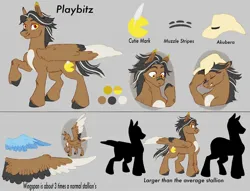 Size: 1700x1300 | Tagged: safe, artist:abbytabbys, derpibooru import, oc, oc:playbitz, pegasus, big pony, image, imperial pegasus, jpeg, large wings, reference sheet, wings