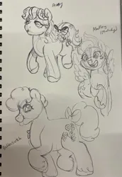 Size: 1410x2048 | Tagged: safe, artist:texacity, derpibooru import, butterscotch (g1), medley, posey, earth pony, pegasus, pony, g1, bow, female, flower, flower in hair, image, jpeg, lidded eyes, mare, open mouth, open smile, pencil drawing, smiling, tail, tail bow, tongue out, traditional art, trio