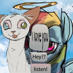 Size: 2000x2000 | Tagged: safe, artist:skypaw10, derpibooru import, rainbow dash, oc, cat, pegasus, pony, annoying, duo, english, halo, image, jpeg, text