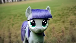 Size: 5120x2880 | Tagged: safe, ai content, derpibooru import, editor:felisamafeles, machine learning generated, stable diffusion, maud pie, earth pony, pony, g4, chest fluff, cute, ear fluff, field, fluffy, fur, generator:pony diffusion v6 xl, generator:purplesmart.ai, image, irl, looking at you, marsh, maudabetes, photo, png, realistic, solo, stare