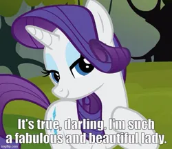 Size: 577x499 | Tagged: safe, derpibooru import, edit, edited screencap, screencap, rarity, g4, spike at your service, caption, darling, fabulous, image, image macro, imgflip, jpeg, talking to viewer, text, truth