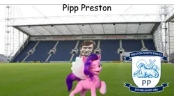 Size: 1875x1036 | Tagged: safe, derpibooru import, editor:izzymoonbow_444, pipp petals, pegasus, pony, g5, comic sans, deepdale, football, image, irl, photo, png, ponies in real life, preston, preston north end, sports, stadium