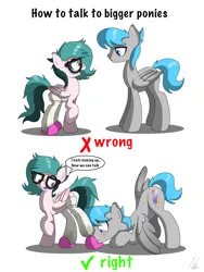 Size: 3000x4000 | Tagged: suggestive, artist:noomeralf, derpibooru import, oc, oc:hazy breeze, oc:noomi feathers, unofficial characters only, pegasus, pony, clothes, dirty socks, female, fetish, glasses, hoof fetish, image, male, mare, png, slippers, sock fetish, socks, speech bubble, stallion, text