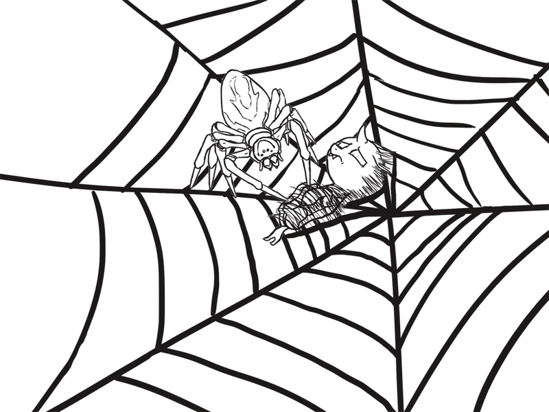 Size: 900x675 | Tagged: safe, artist:slamjam, changeling, spider, /mlp/, 4chan, bondage, bound, drawthread, image, jpeg, monochrome, scared, simple background, spider web, white background