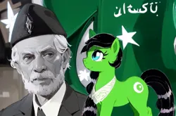 Size: 720x476 | Tagged: safe, ai content, derpibooru import, machine learning generated, ponified, pony, female, image, jpeg, muhammad ali jinnah, nation ponies, pakistan, urdu