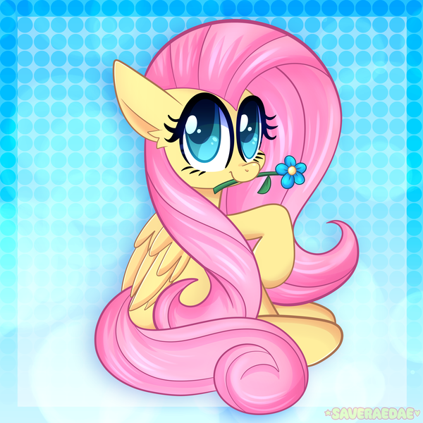 Size: 2000x2000 | Tagged: safe, artist:saveraedae, derpibooru import, fluttershy, pegasus, pony, blue background, cute, daaaaaaaaaaaw, female, flower, image, looking at you, mare, mouth hold, pink mane, png, raised hoof, shyabetes, simple background, solo, teal eyes, wings, yellow coat