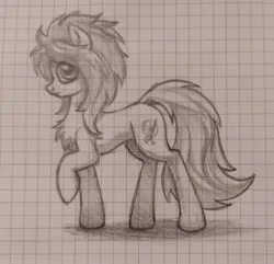 Size: 2637x2544 | Tagged: safe, artist:zetamad, derpibooru import, oc, oc:lemon sketch, unofficial characters only, earth pony, pony, chest fluff, female, graph paper, image, jpeg, mare, pencil drawing, raised hoof, sketch, solo, traditional art