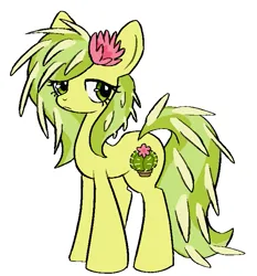 Size: 661x708 | Tagged: safe, artist:anonymous, oc, oc:prickly pear, unofficial characters only, earth pony, pony, /mlp/, 4chan, drawthread, female, flower, flower in hair, image, looking sideways, mare, png, simple background, solo, white background