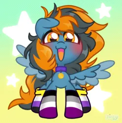 Size: 2231x2246 | Tagged: safe, artist:ninnydraws, derpibooru import, oc, oc:skittle, unofficial characters only, pegasus, pony, asexual pride flag, chibi, clothes, image, nonbinary pride flag, pegasus oc, png, pride, pride flag, pride socks, socks, solo, wings